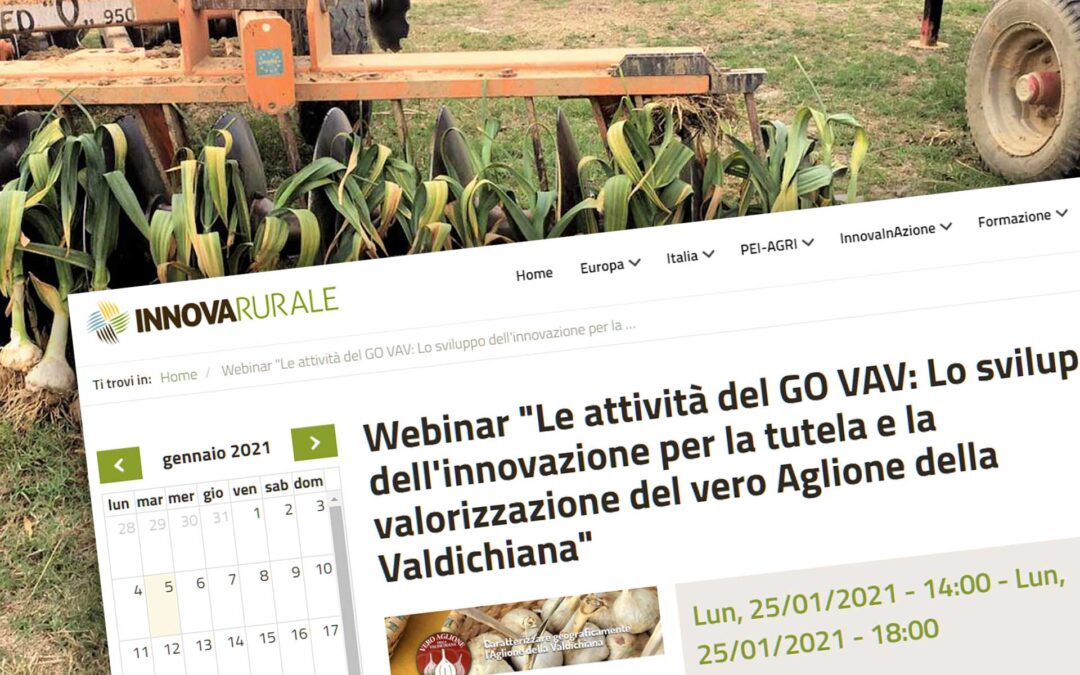 Aglione. Il webinar del 25 gennaio 2021 sul sito InnovaRurale