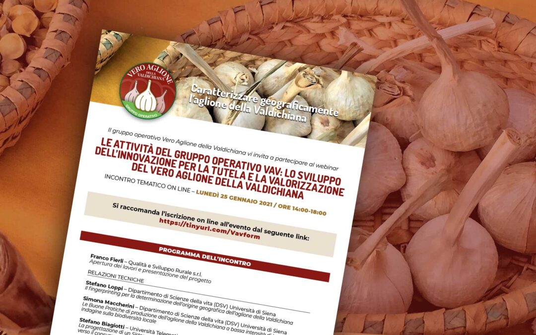 Aglione. Le attività del Gruppo Operativo VAV, webinar il 25 gennaio 2021