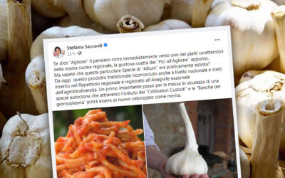 L’aglione nel registro dell’agrobiodiversità. Il post di Stefania Saccardi