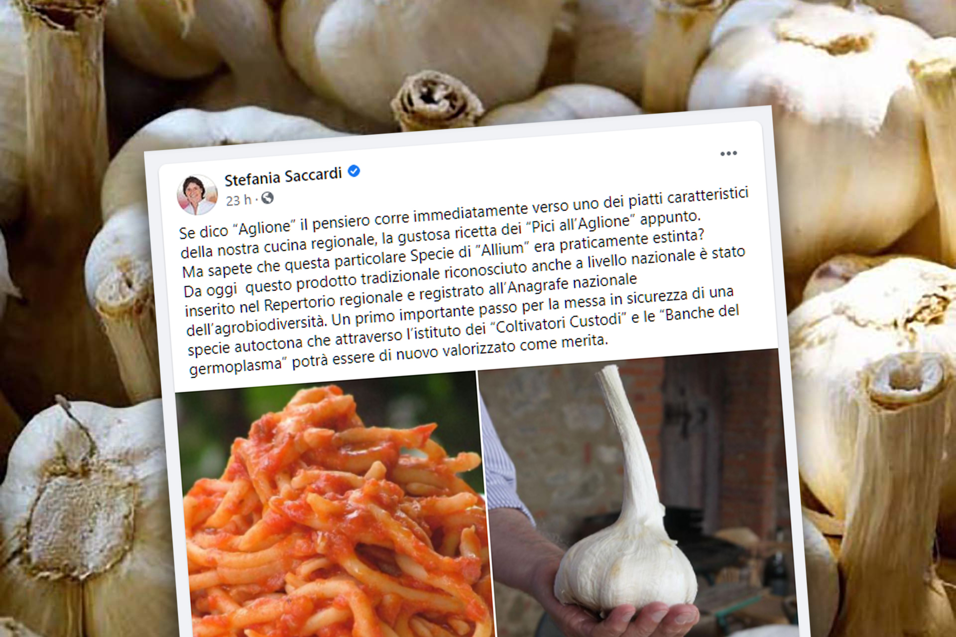 aglione-vav_saccardi-post-facebook